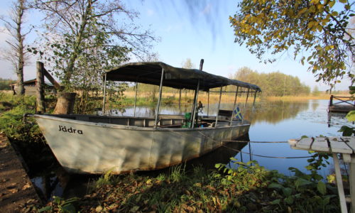 Seffle boat engine