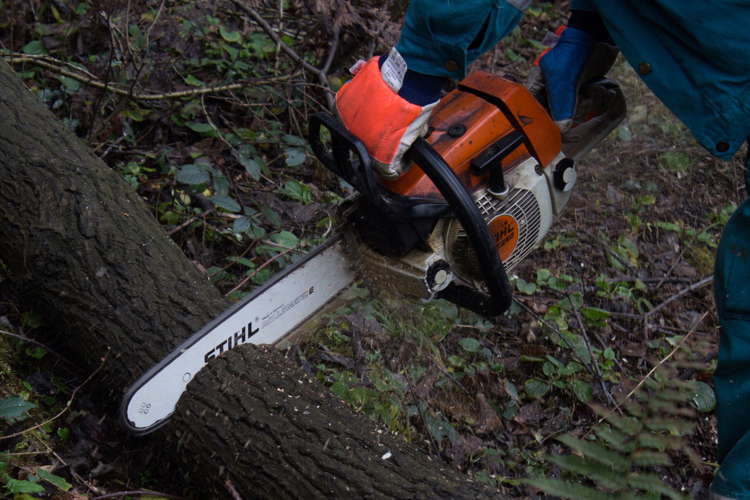 Chainsaw