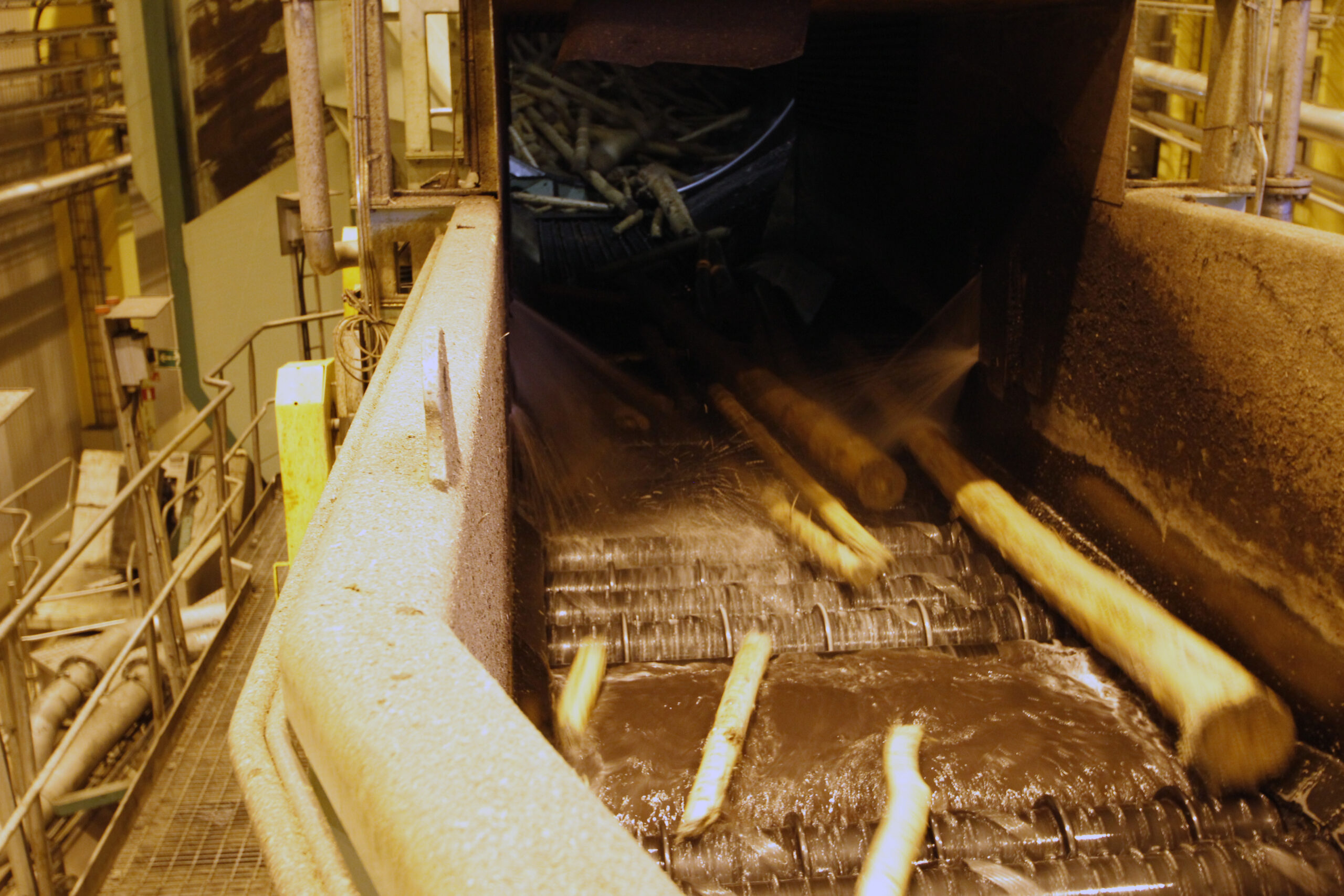 Logs on way out from Drum debarker.