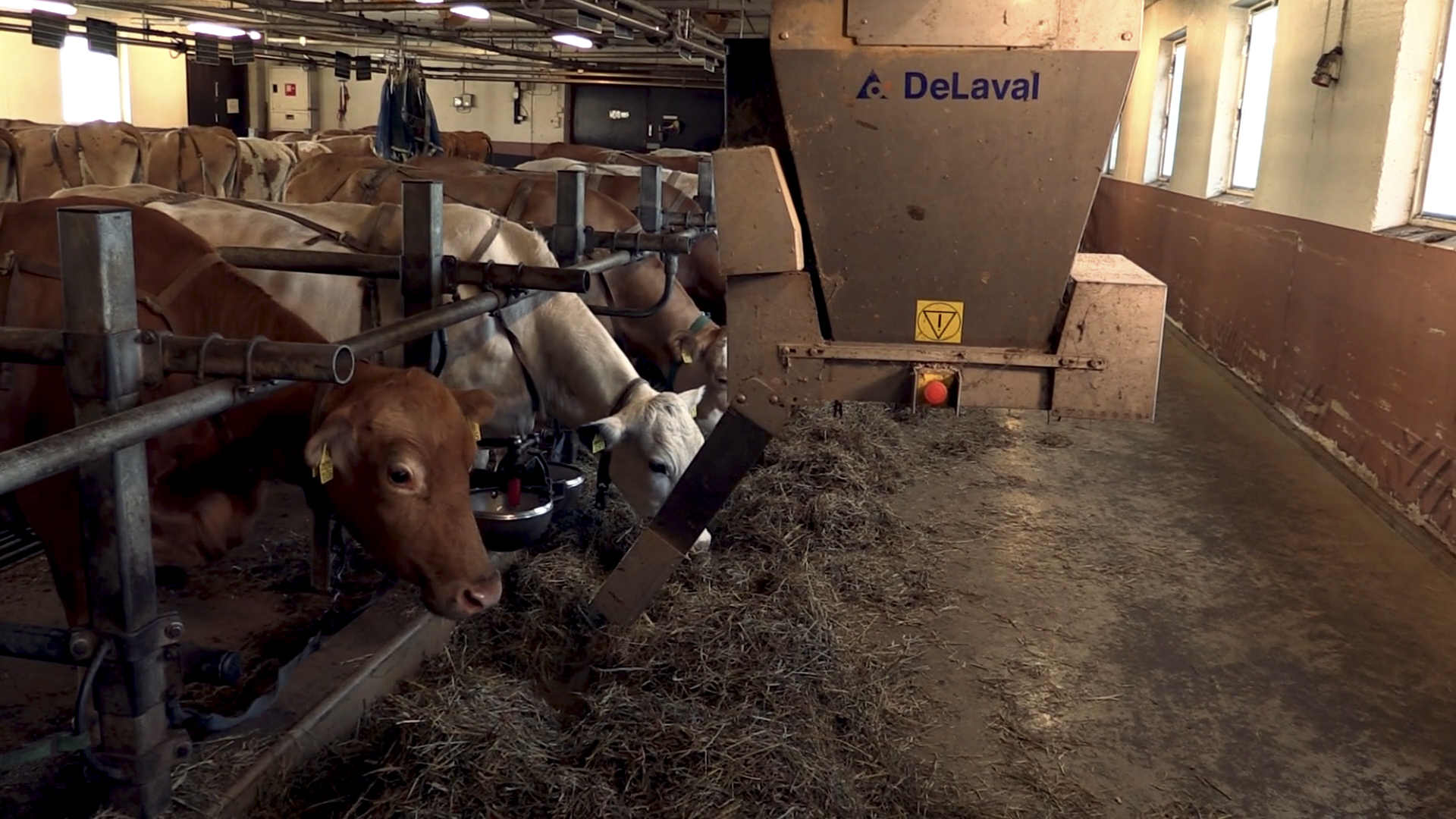 Feed wagon