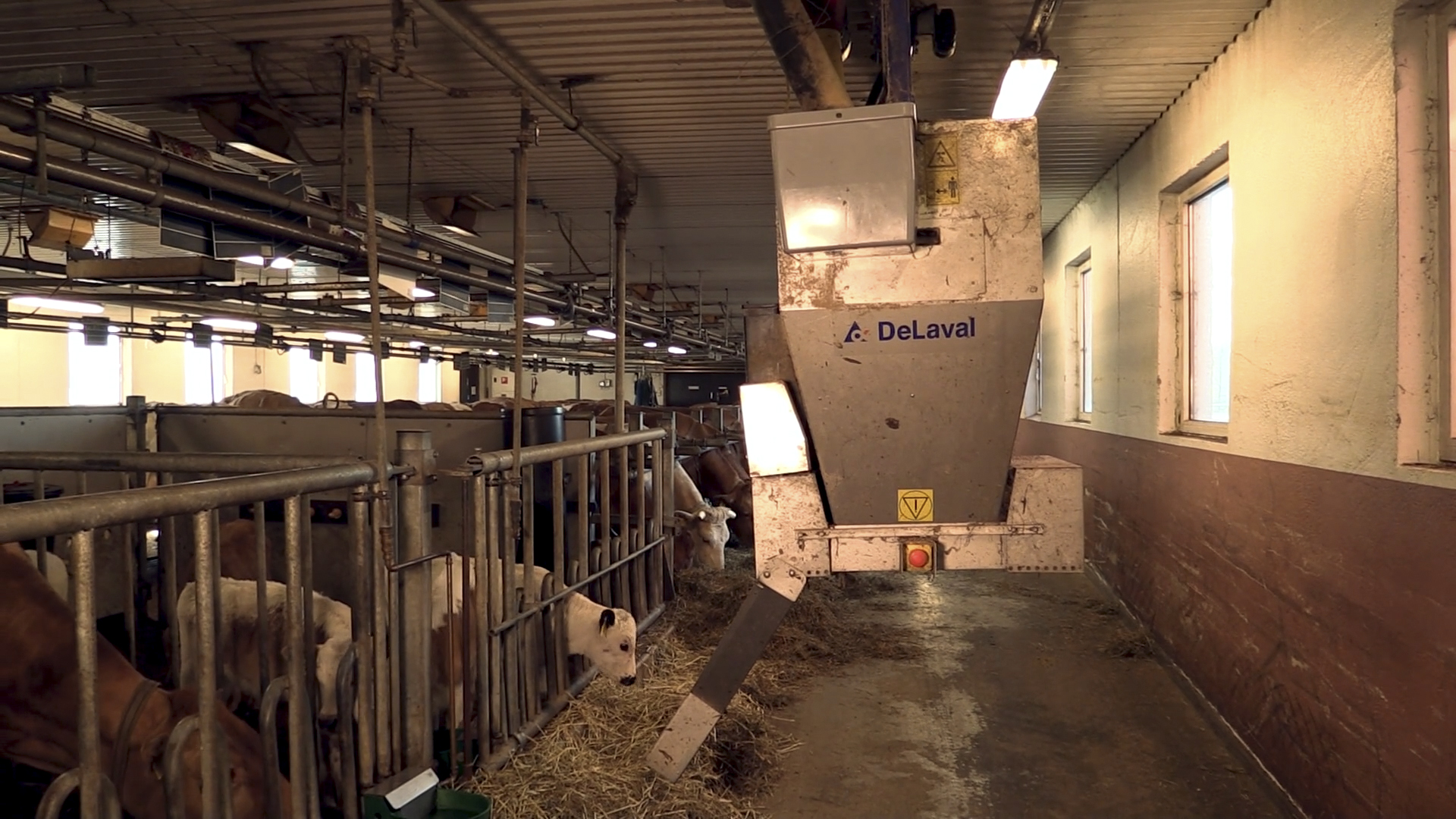 Refill of Feed Wagon
