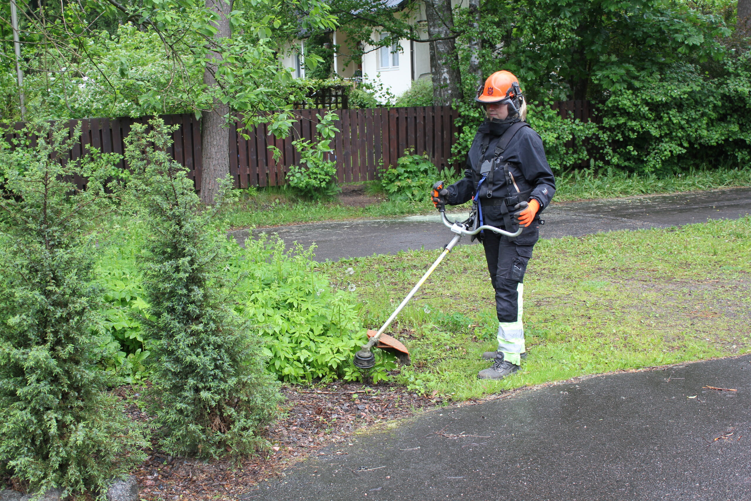 Brush cutter