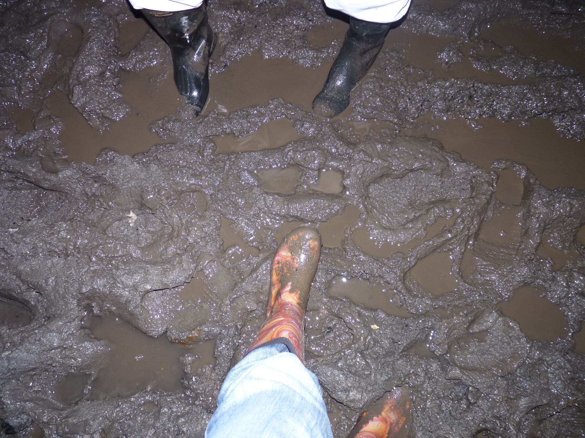 Walking in the mine