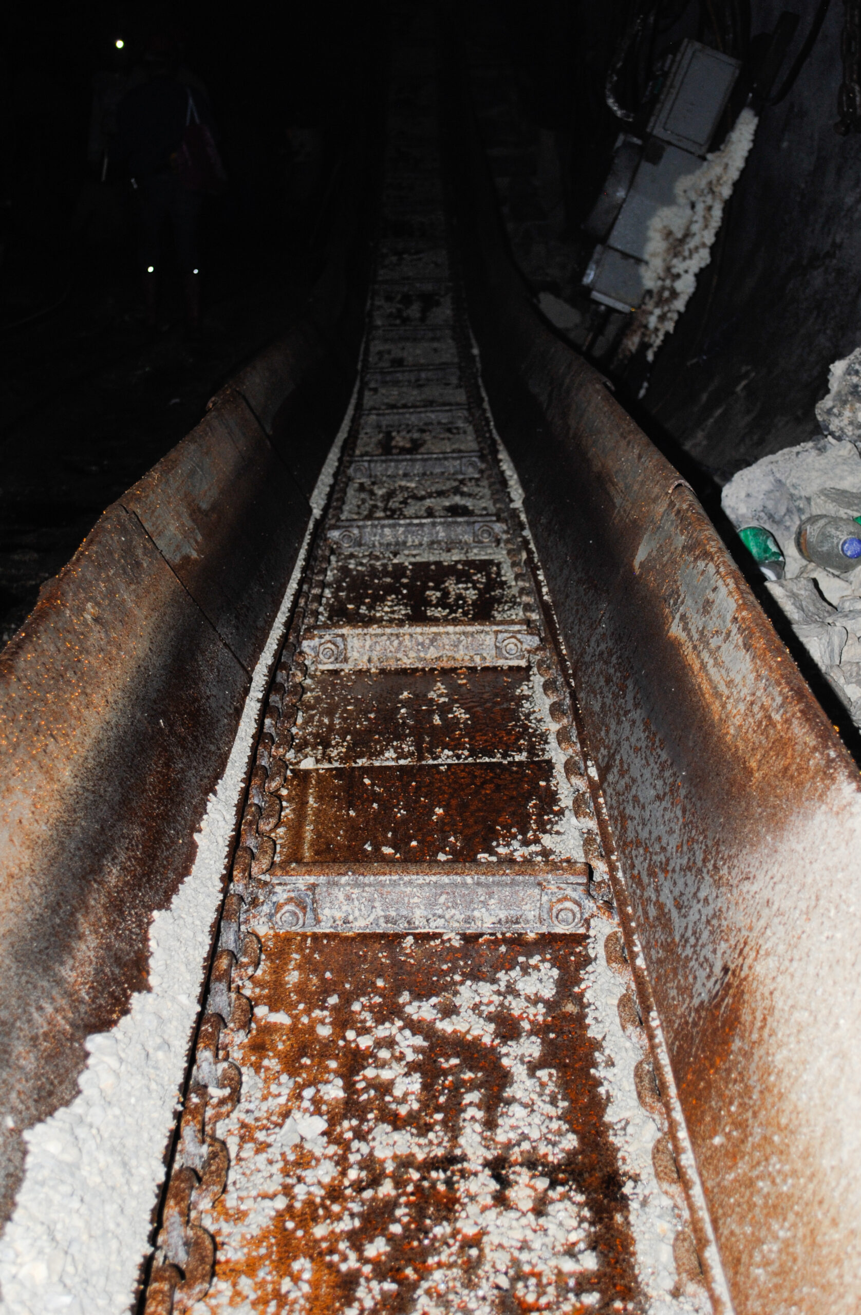 Two-chain conveyor – in operation