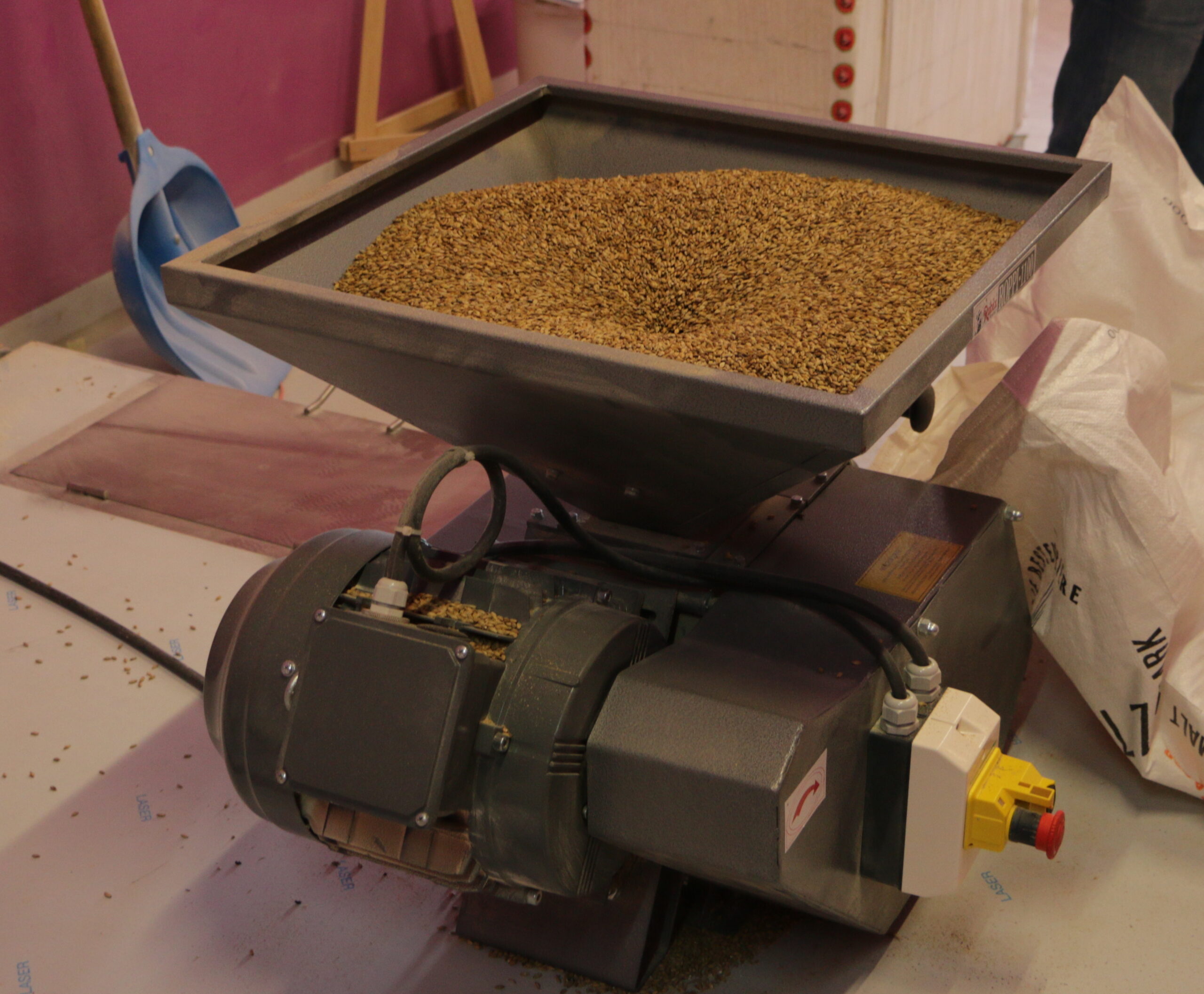 Brewery: grinding of barley malt (1)