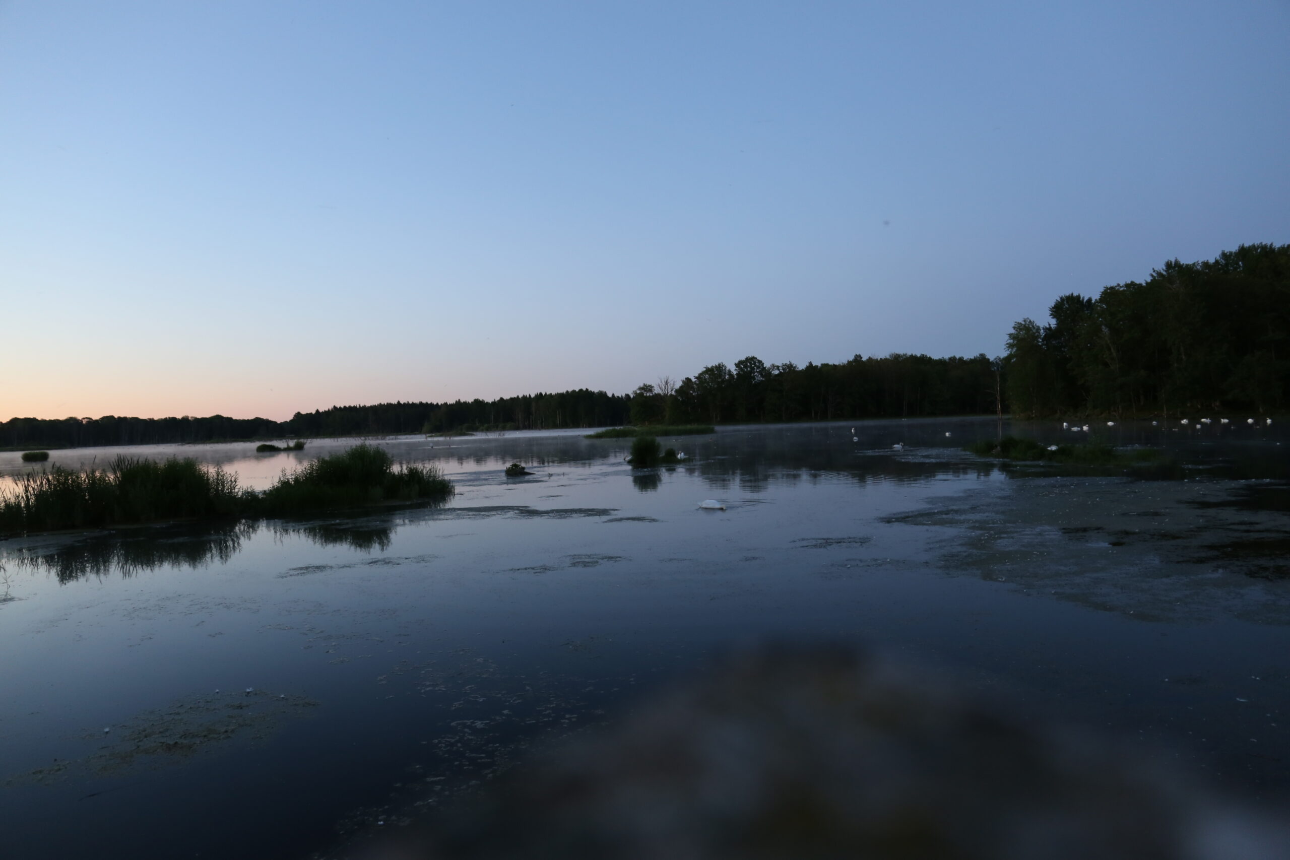 Tinnerö Oak Landscape - Before dawn