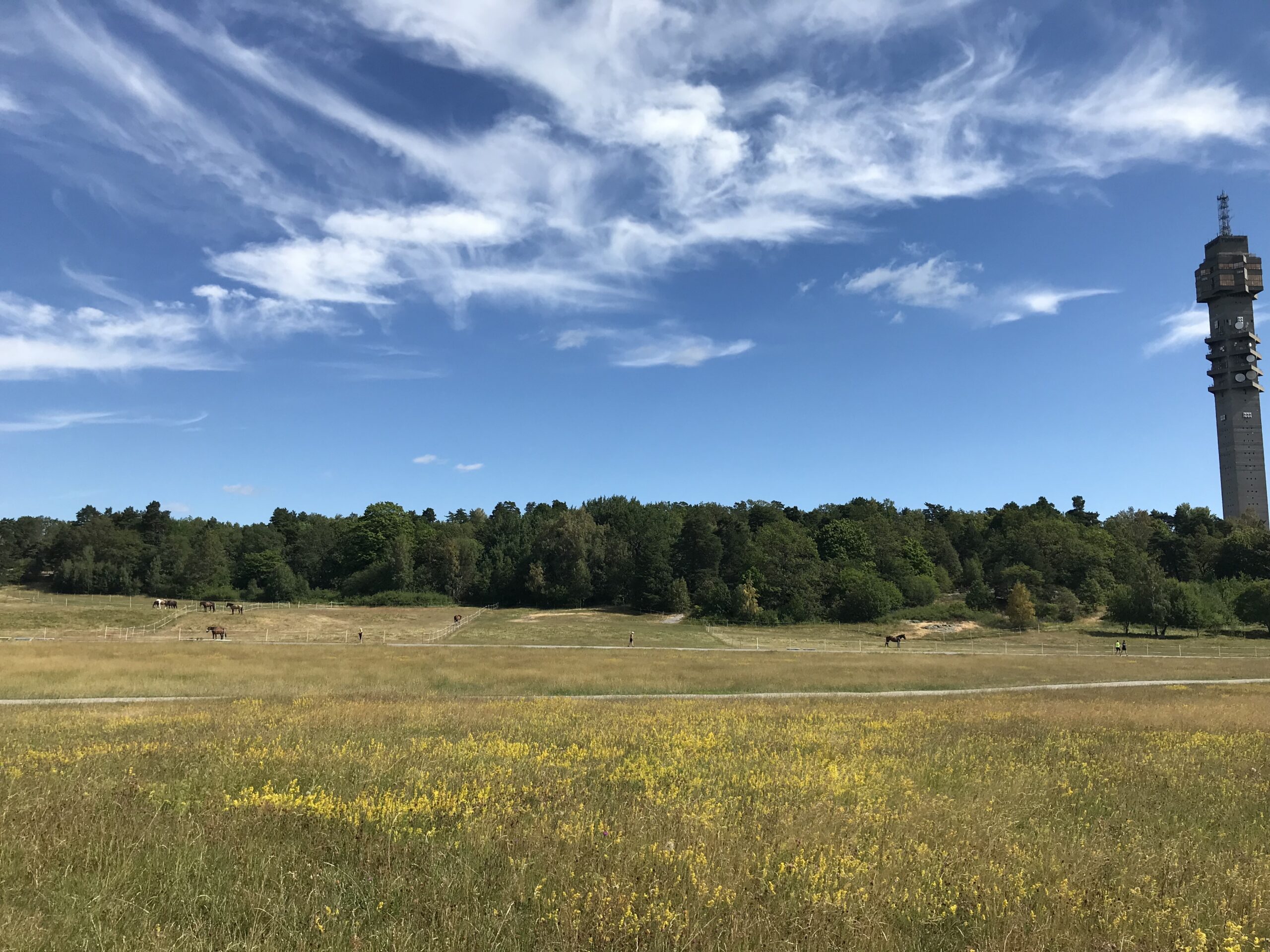 Soundscapes of Stockholm (6)