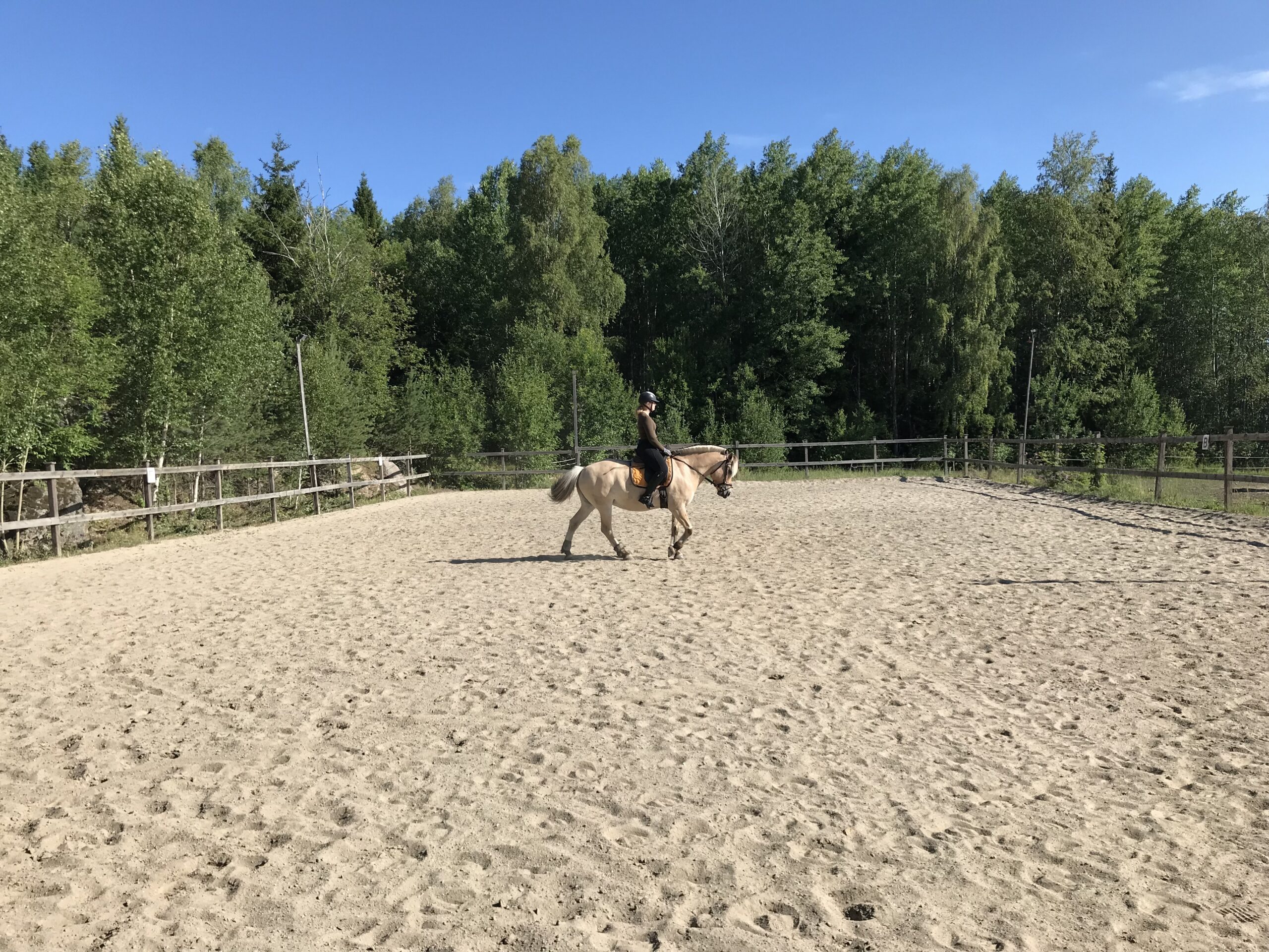 Saddling and riding (4)
