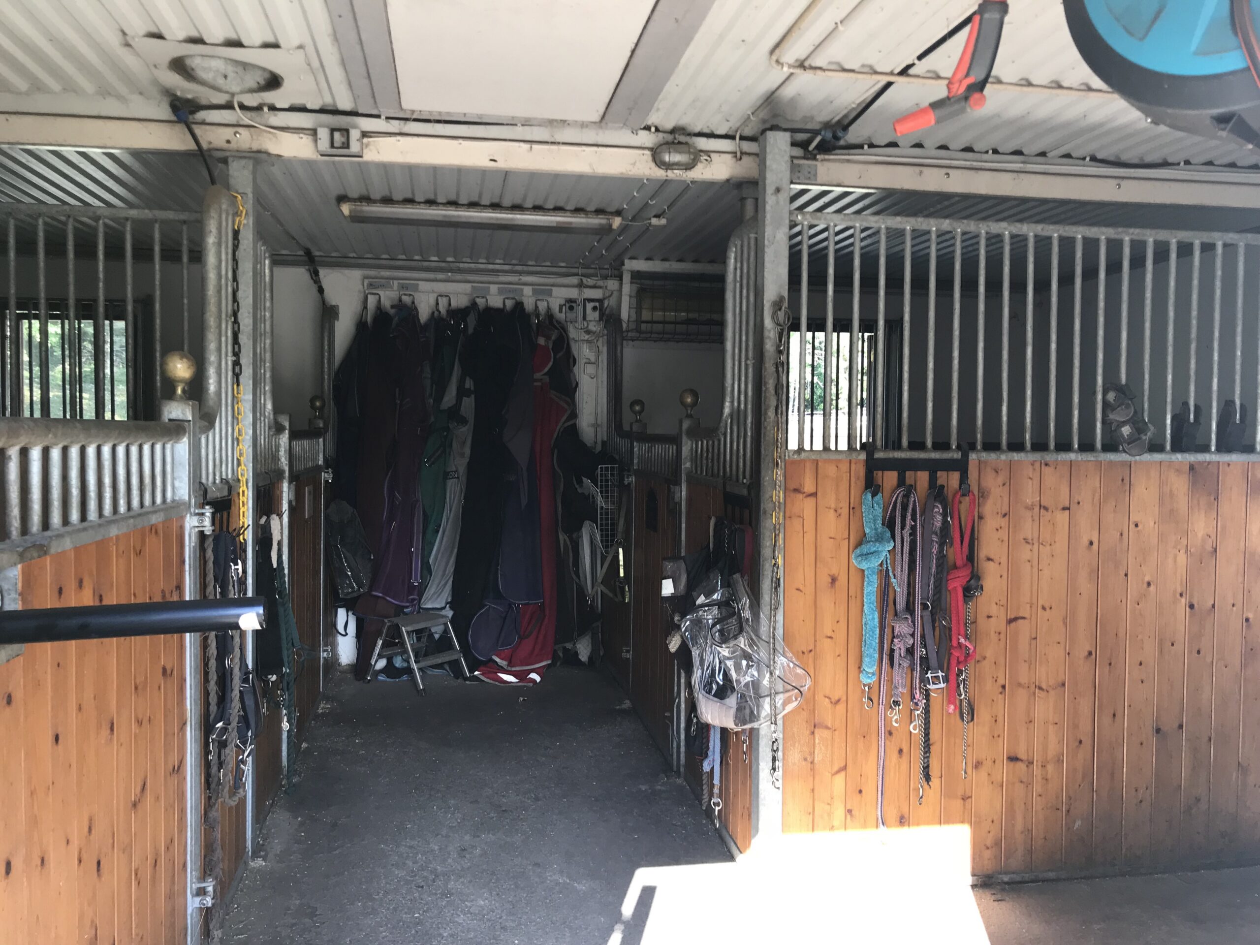 Soundscape of a stable (4)