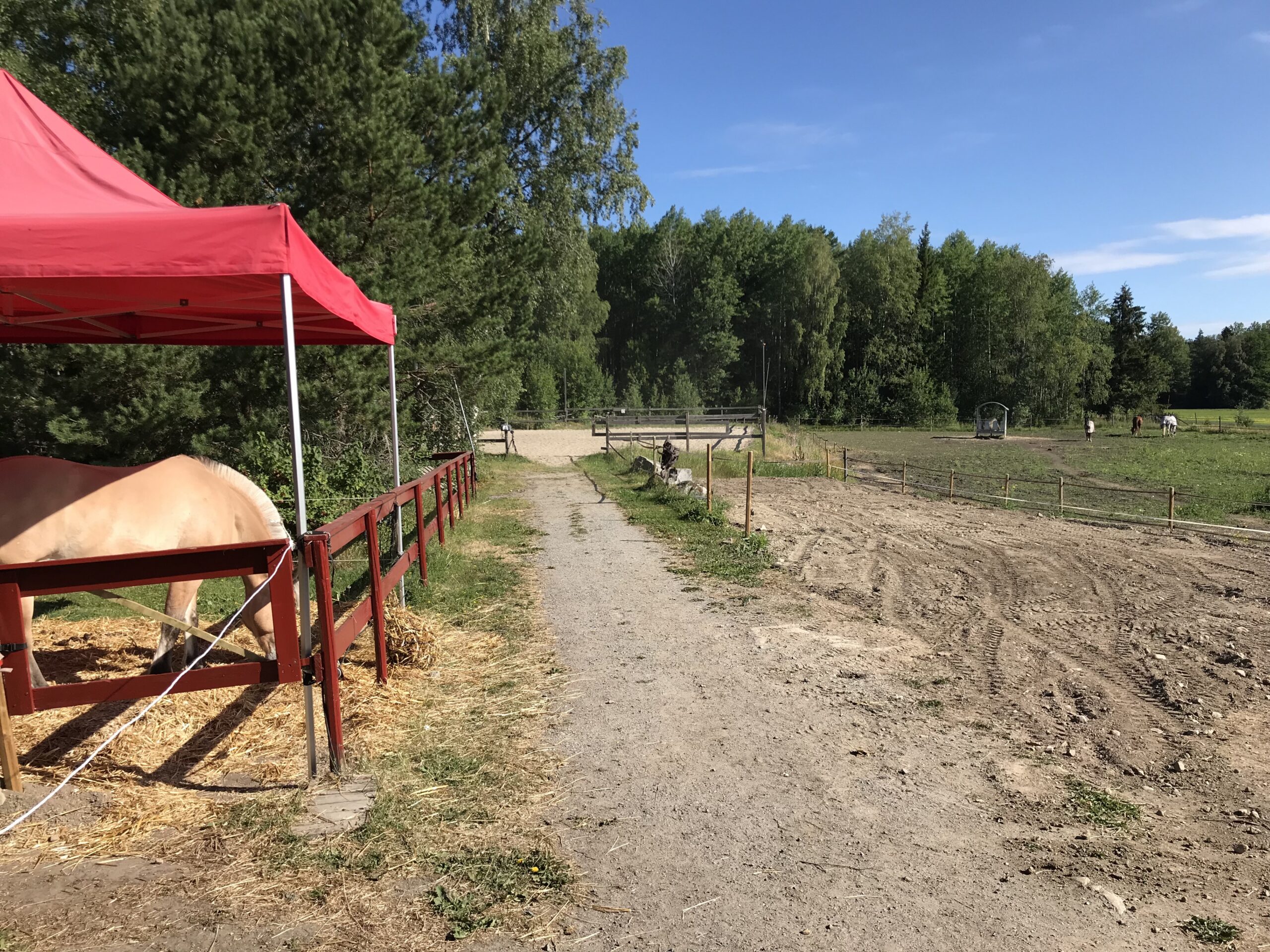 Horse pasture (1)