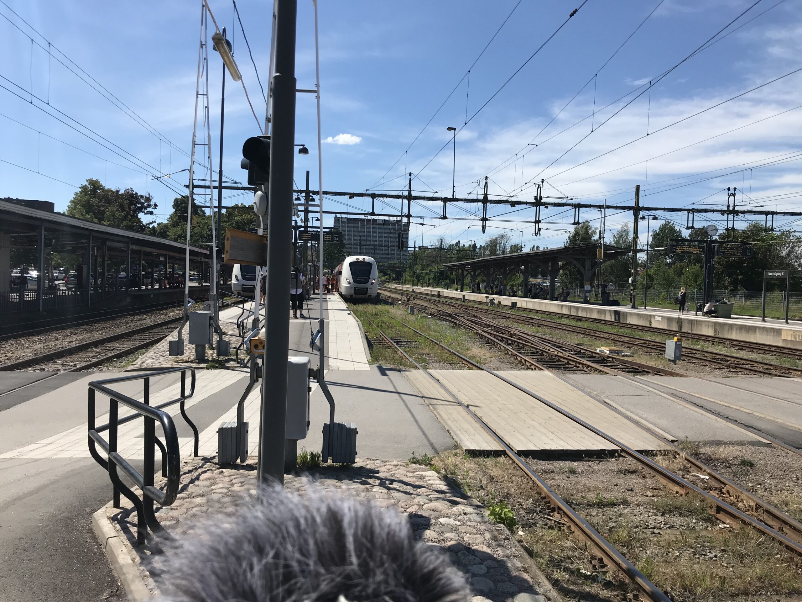 Soundscapes of Norrköping (3)