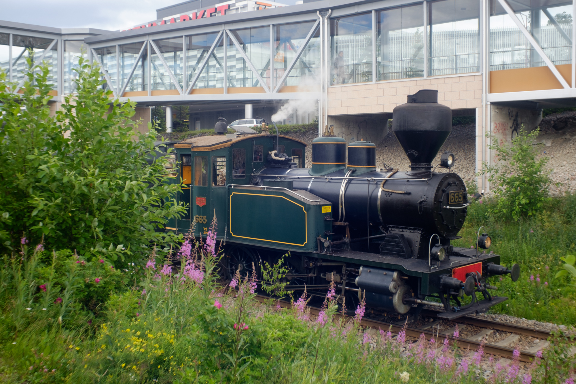 Steam Locomotives VR1 665 & Tk3 1132