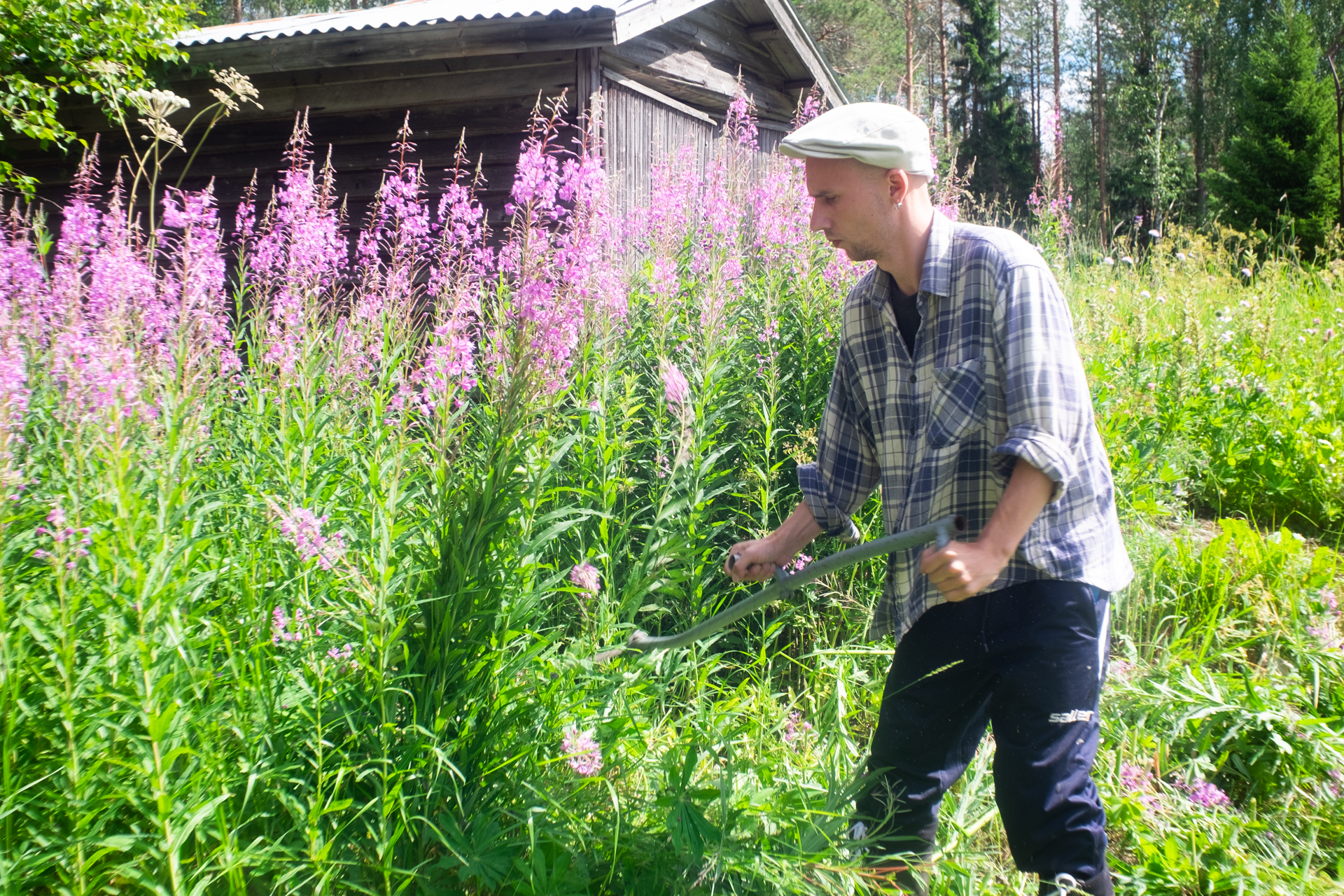 Mowing with a Scythe