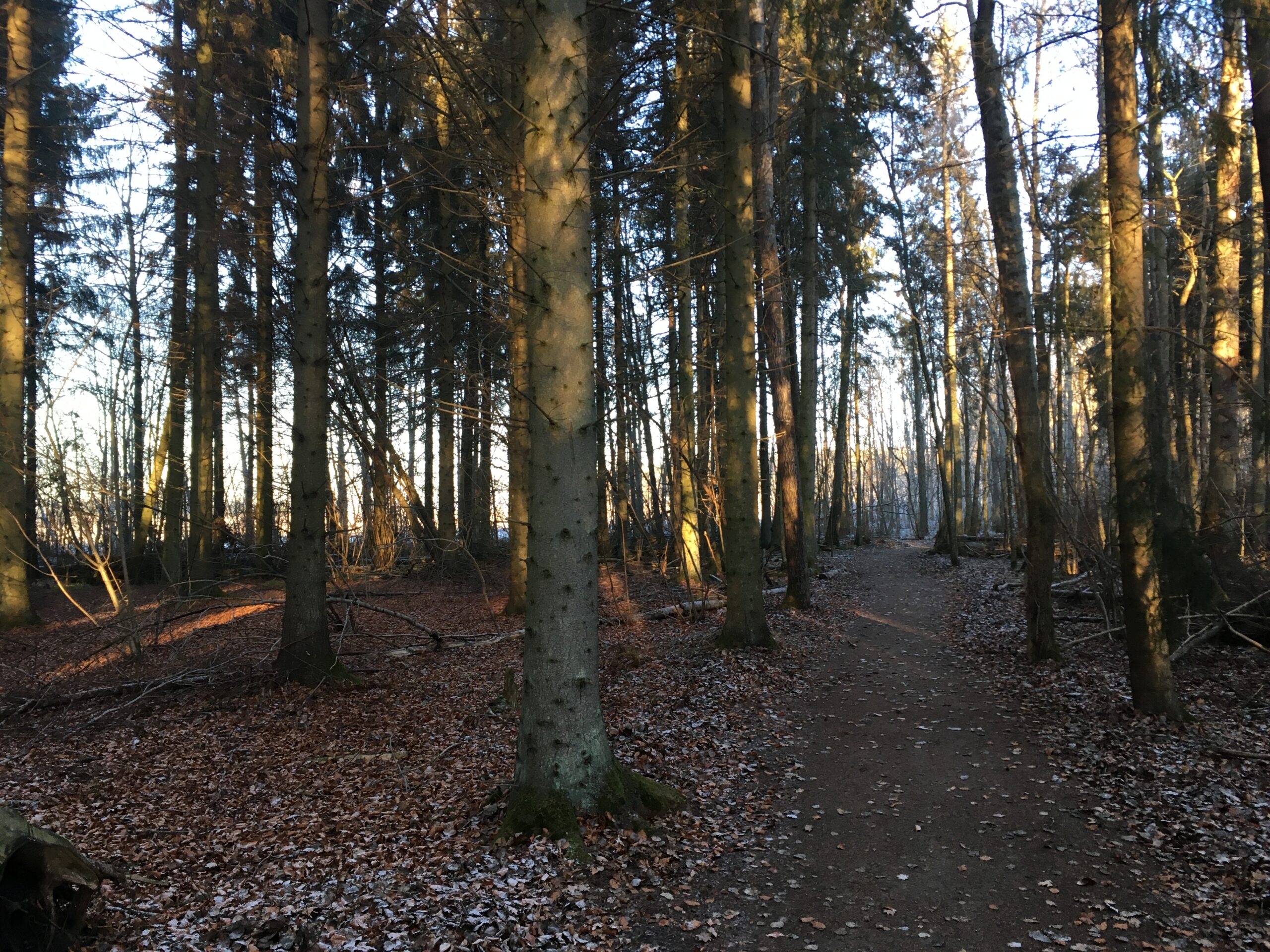 Kärna Mosse nature reserve