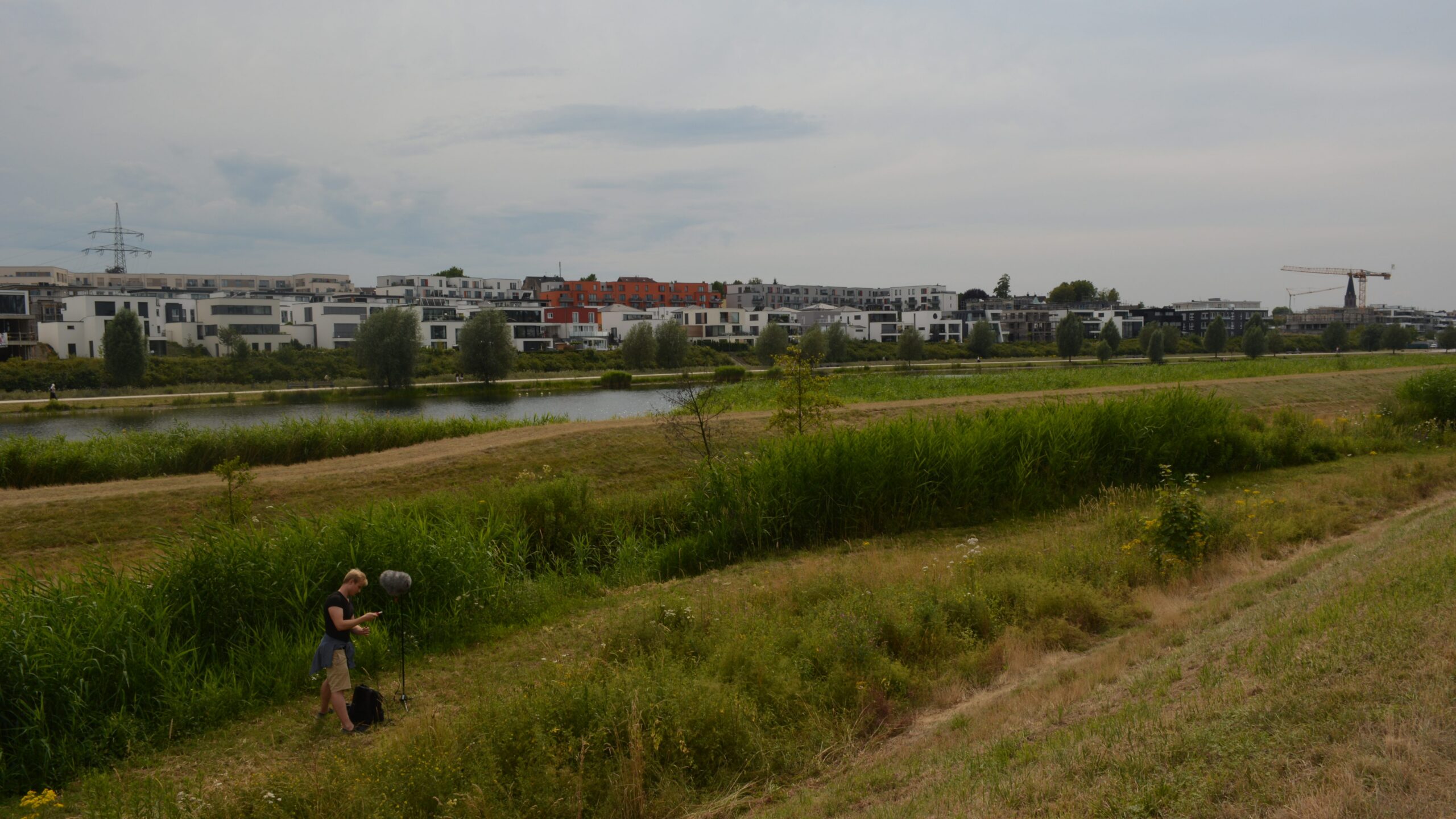 PHOENIX See III – Soundscape close to the Reed