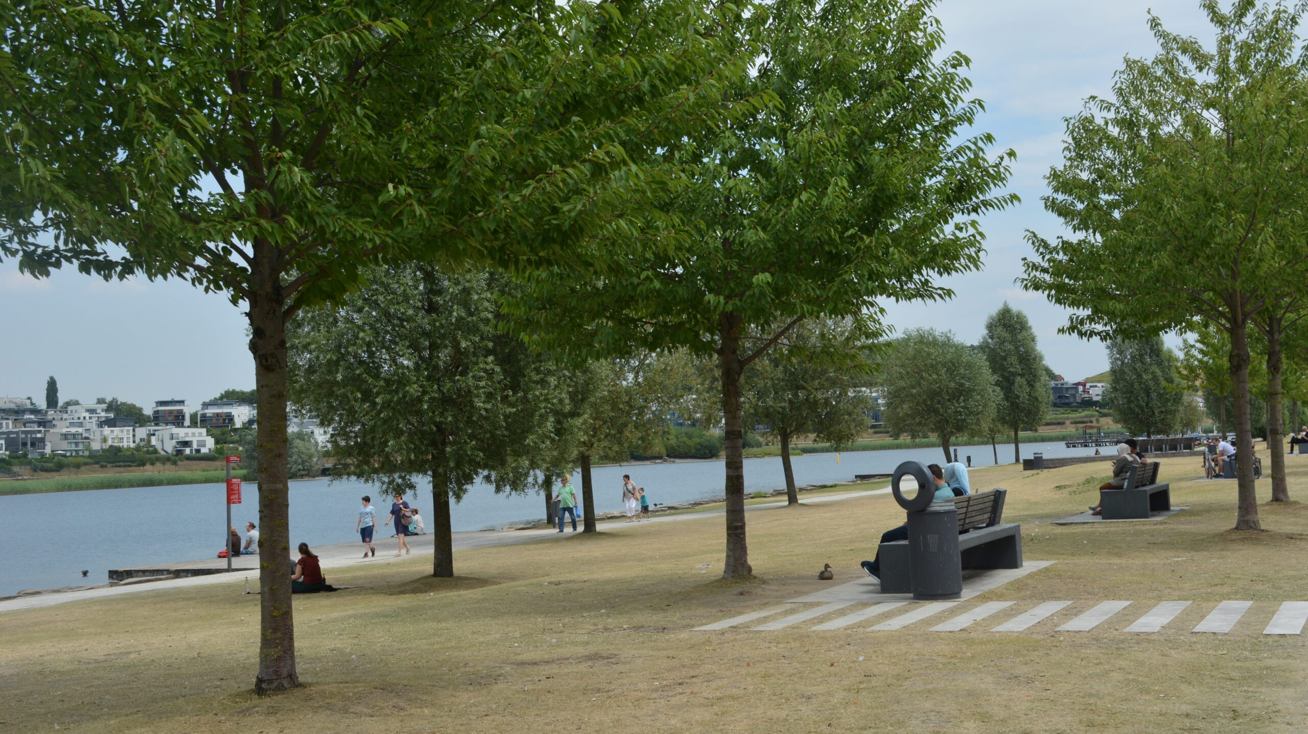 PHOENIX See II – Soundscape at the Shore