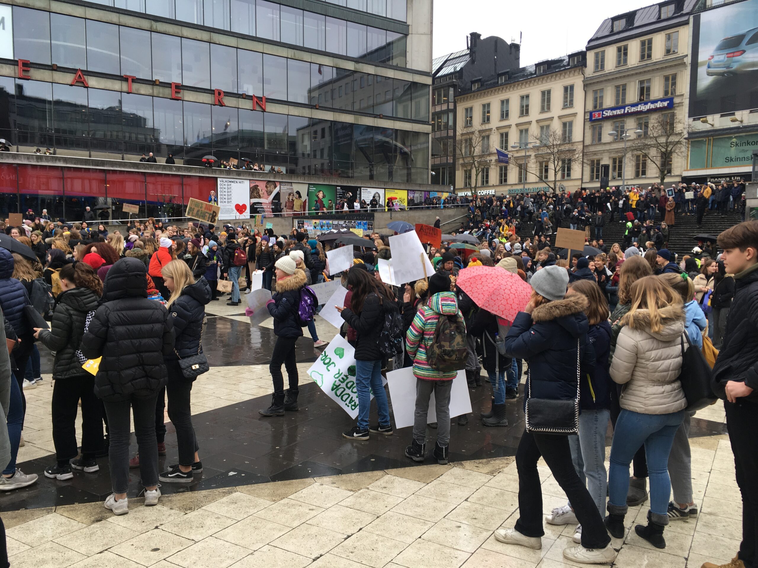 Fridays For Future (Sweden): Gathering of crowd Sergels Torg Stockholm