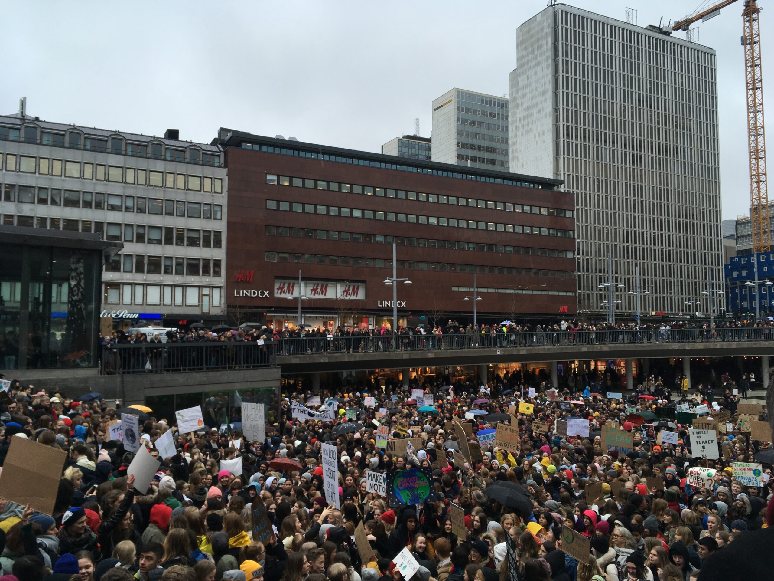 Fridays For Future (Sweden): More people gathering at Sergels Torg Stockholm