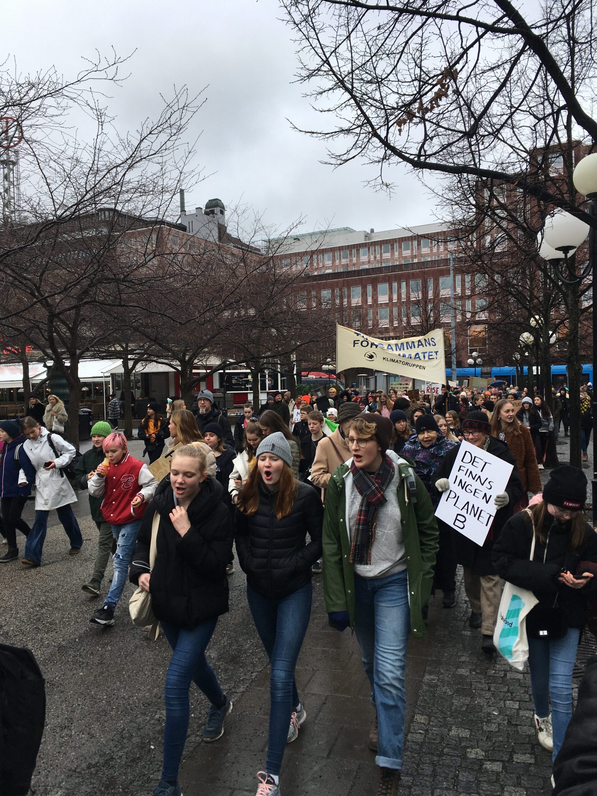 Fridays For Future (Sweden): Walking along protest march