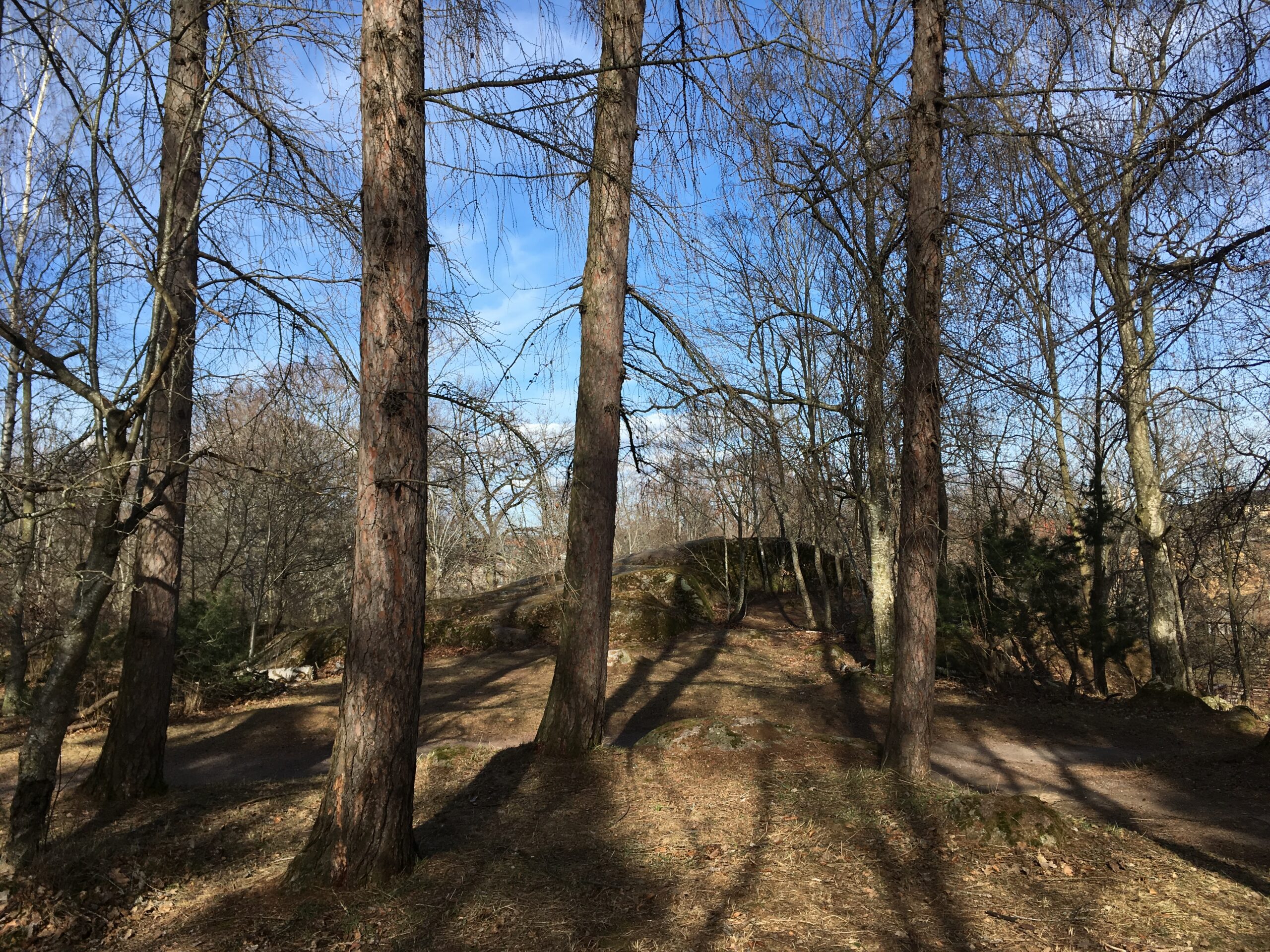 Springtime Noises: Trädgårdsföreningen Linköping