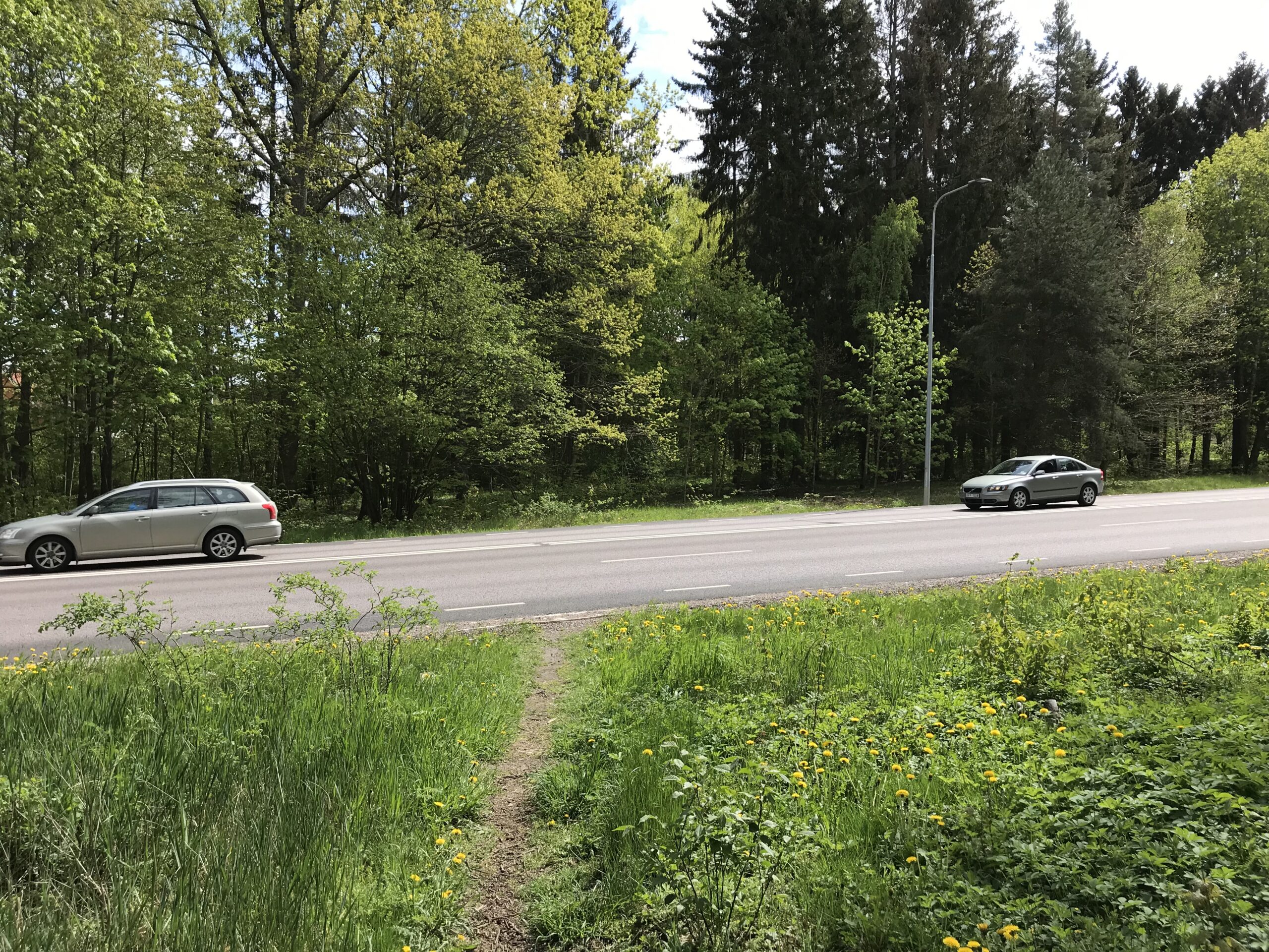 Asphalt part 1: Noise reducing