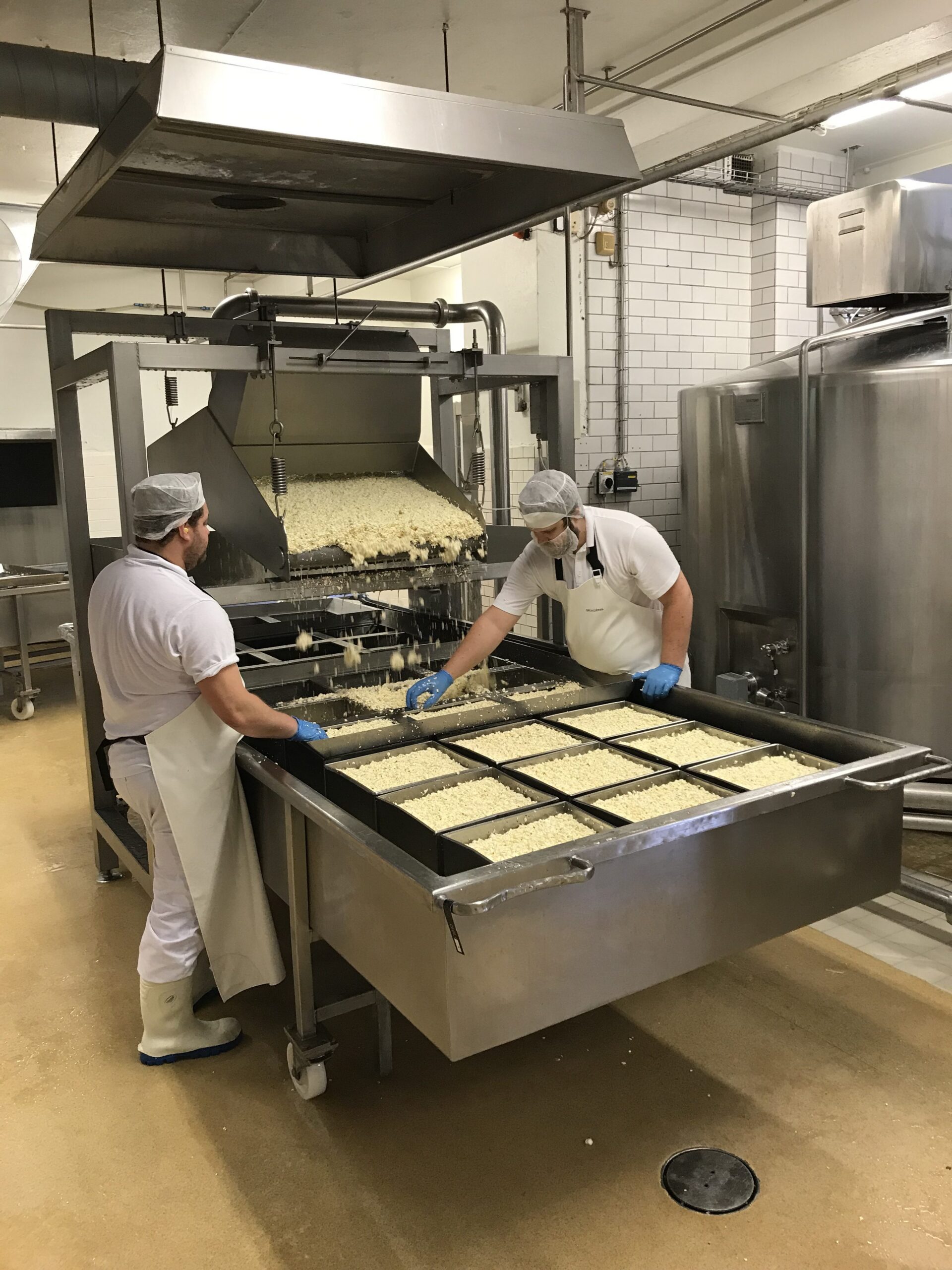 Boxholm dairy: Pouring of curd