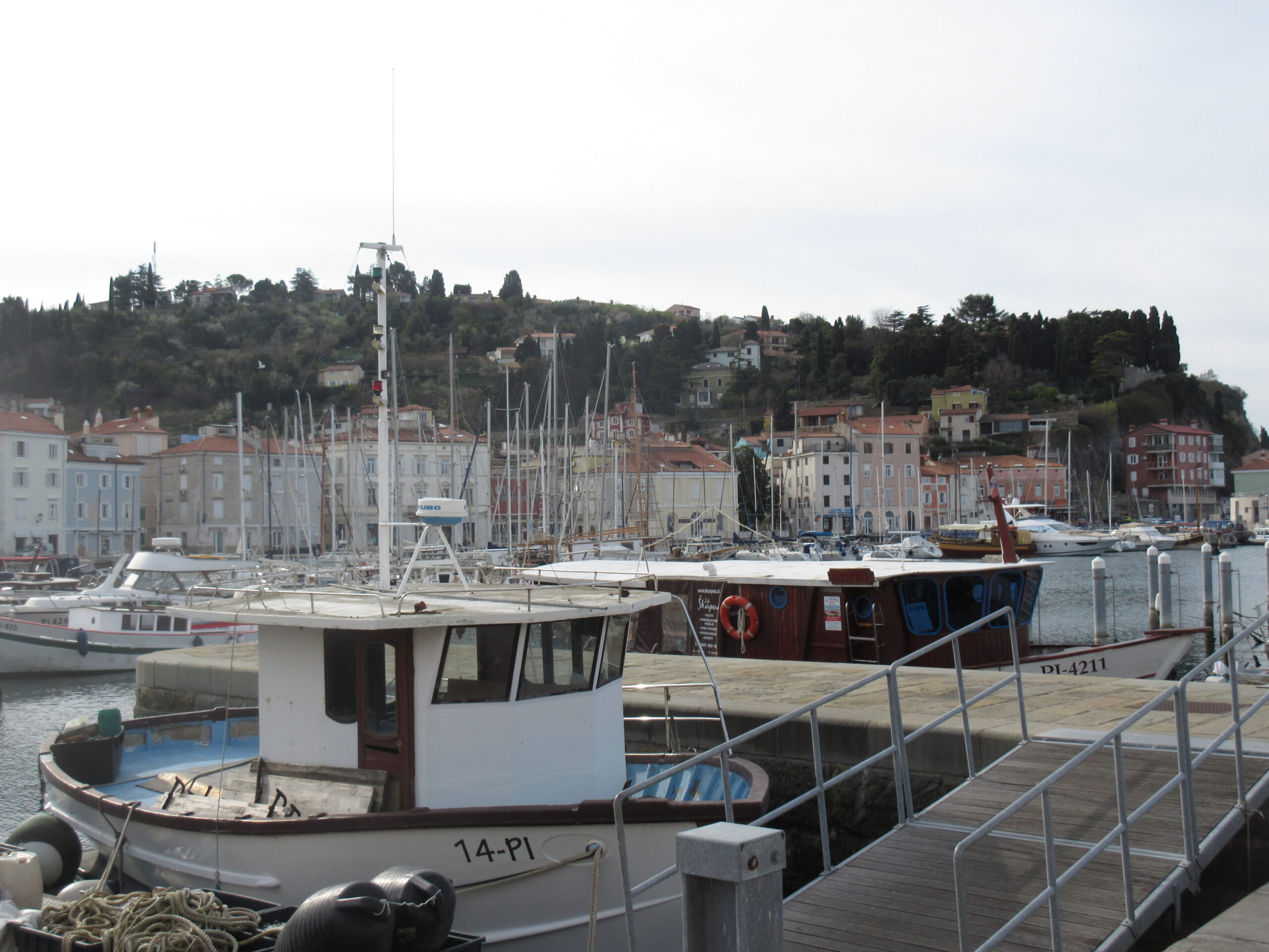 At the pier of Piran