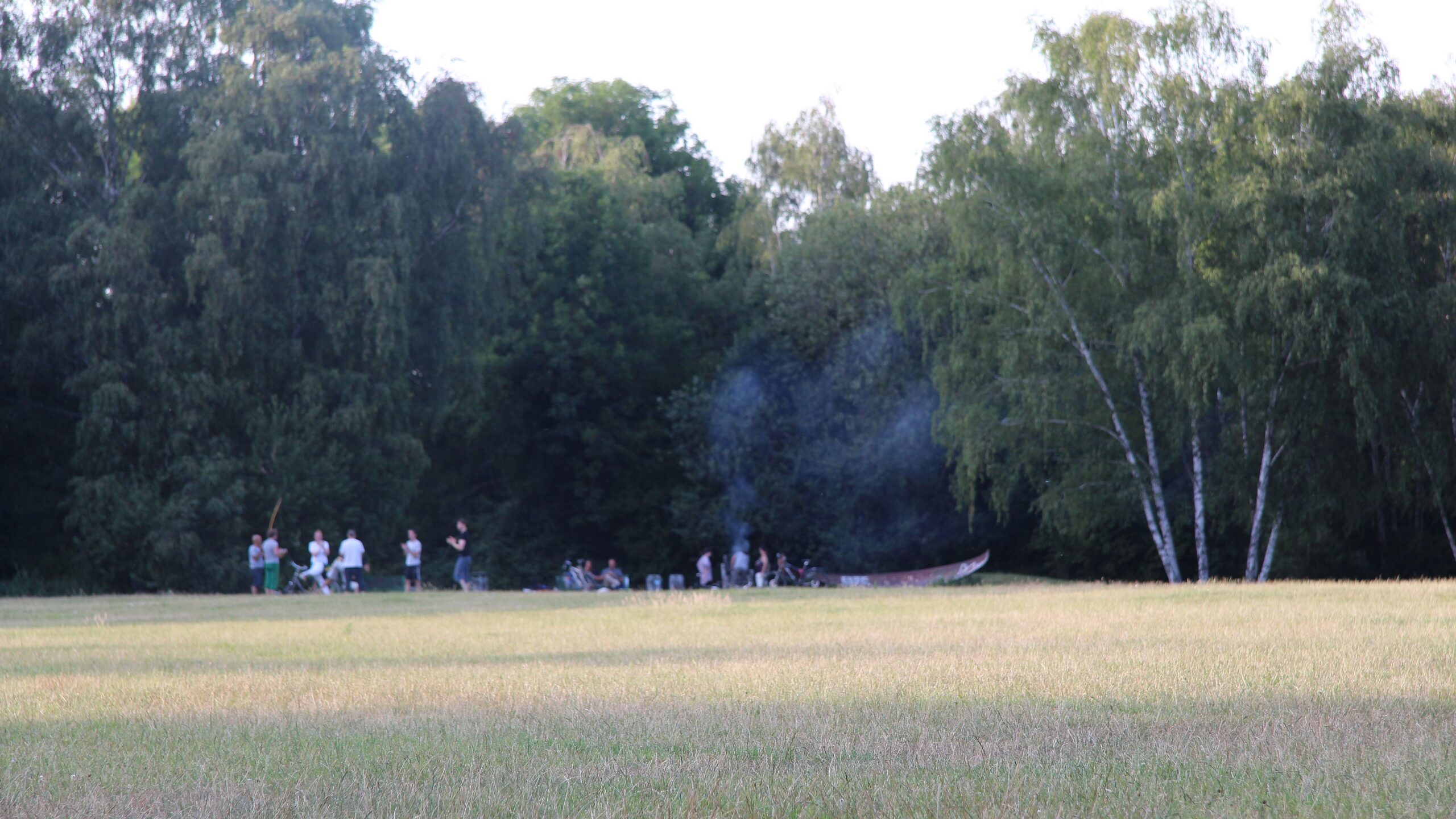 Tremoniapark – A Capoeira Group