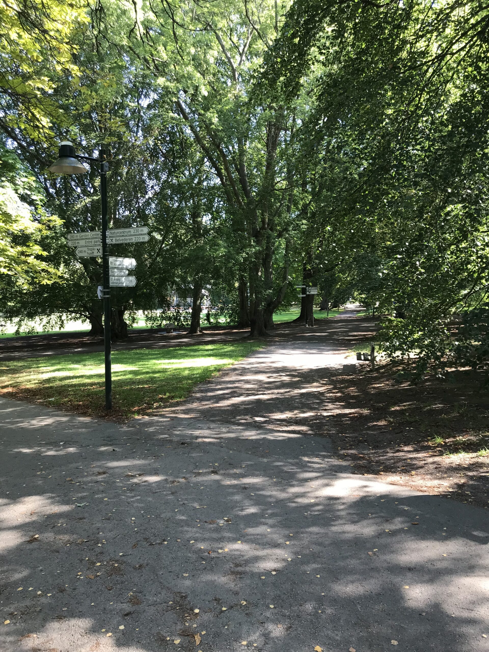 Linköping City Festival 2019: Soundscape 5 (kids running competition: a soundscape)