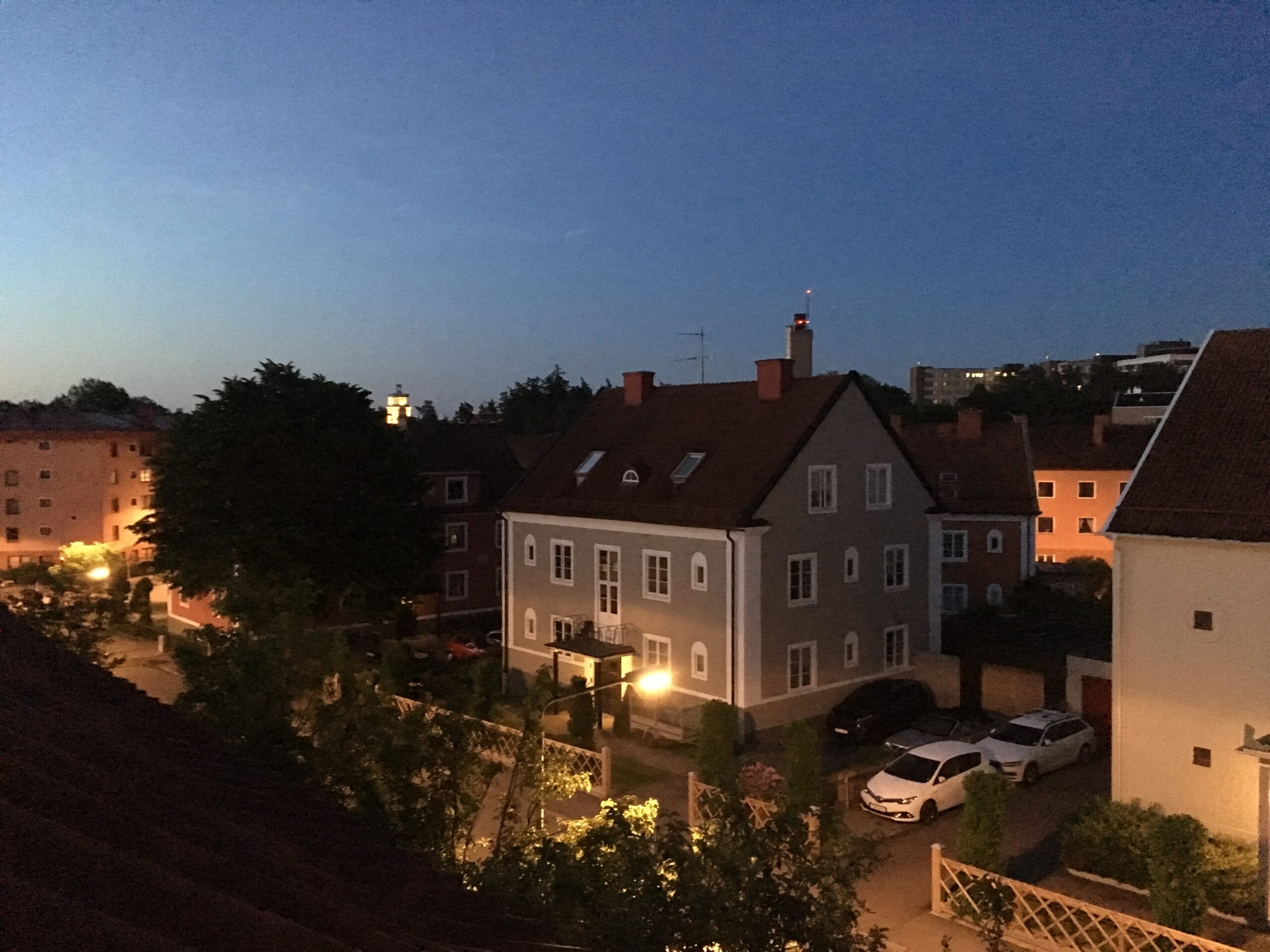 Summer night soundscape