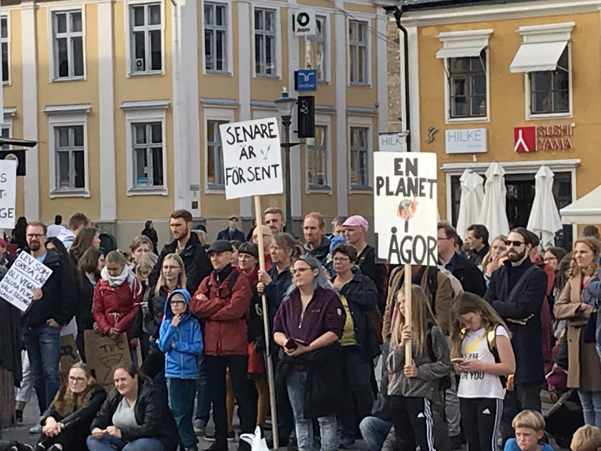 Global strike for future Linköping: Introduction speech at town square